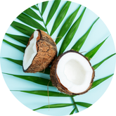 Exotic Coconut