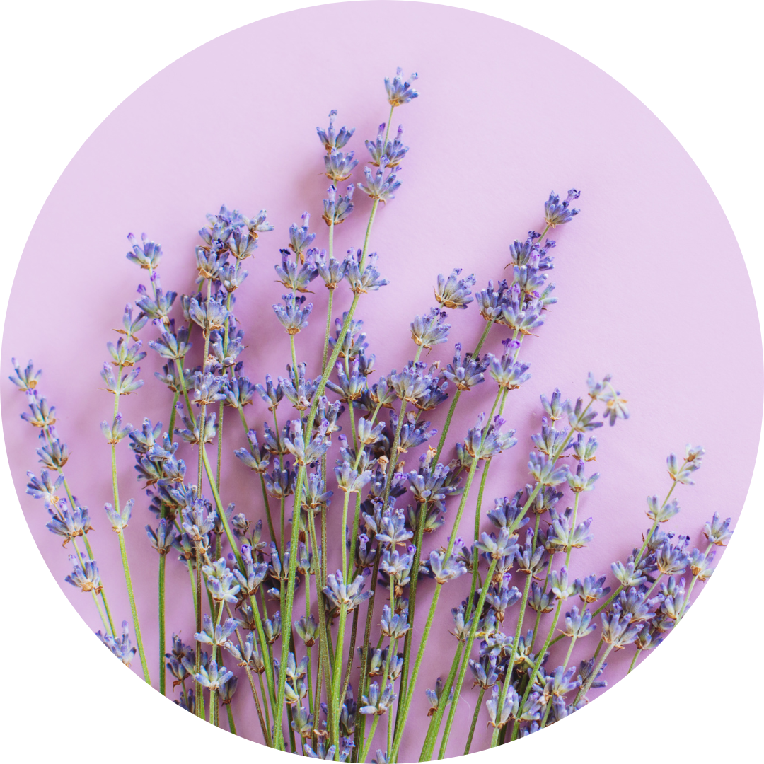 Lavender Blossom